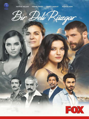 Bir Deli Rüzgar