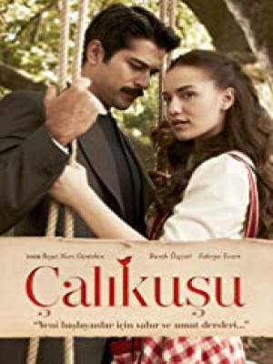 Çalıkuşu